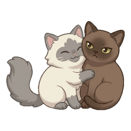 Tofu & Miso
